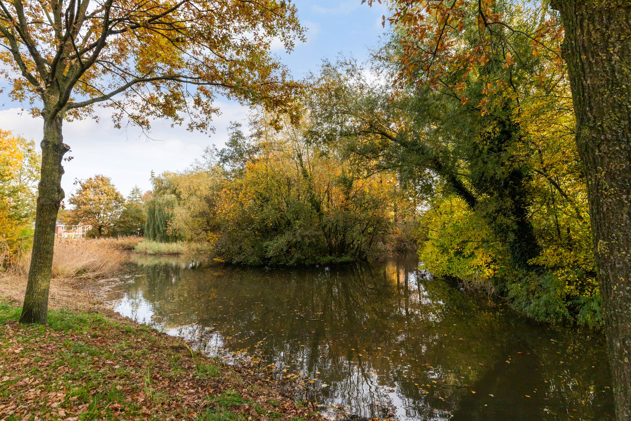 Foto 33 van Dovenetel 4