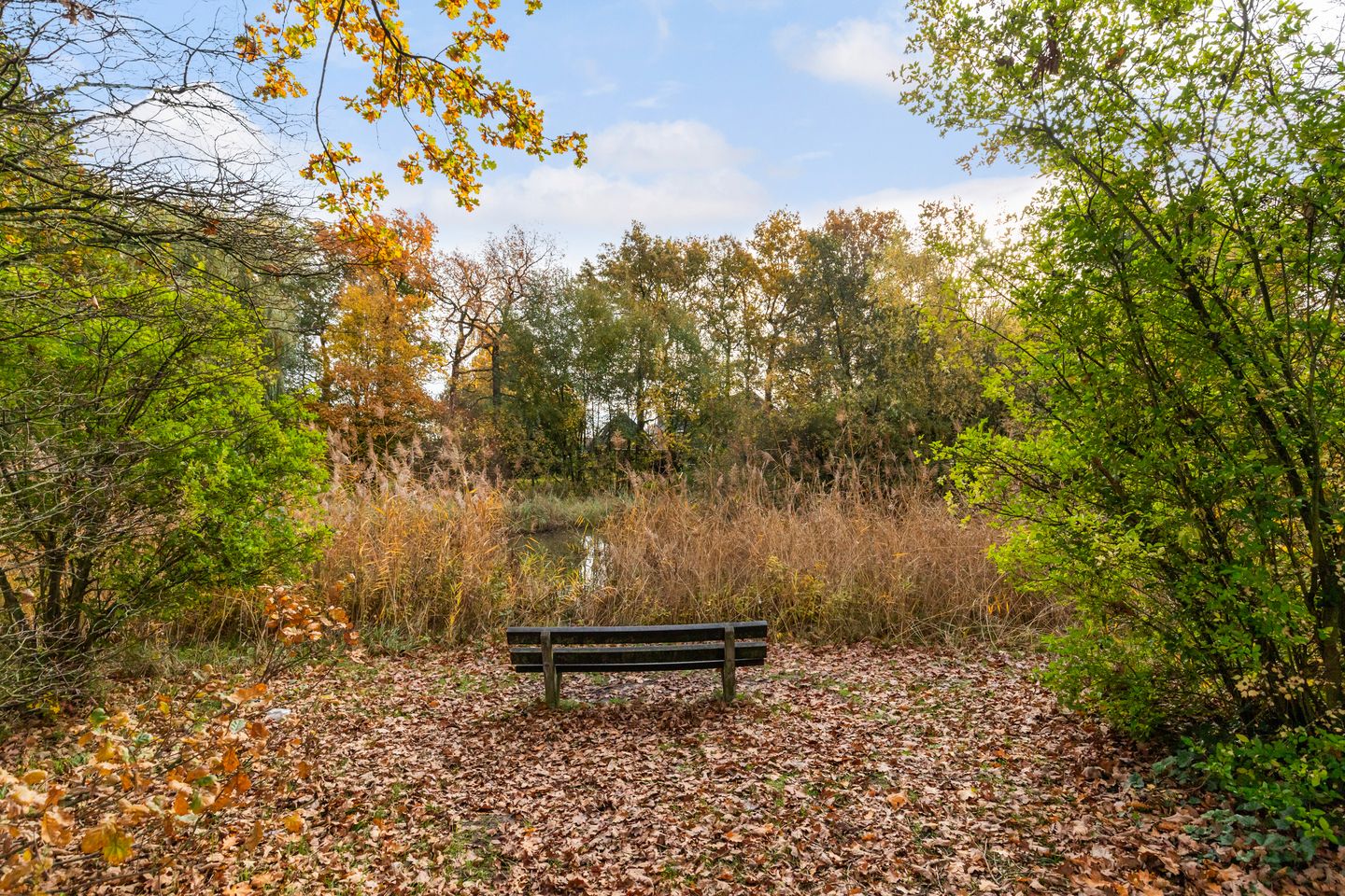 Foto 34 van Dovenetel 4