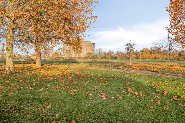 Photo 17 of Carmelstraat 39