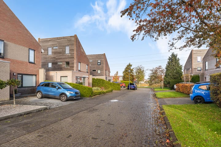 Foto 7 van Het Zool 32