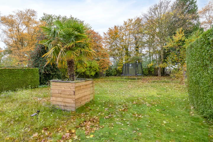 Foto 36 van Knijpslaan 17