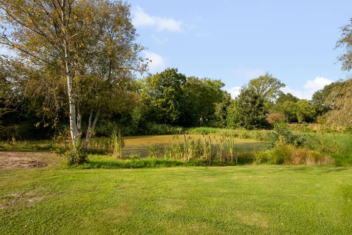 Foto 37 van Koninginneweg 17-B