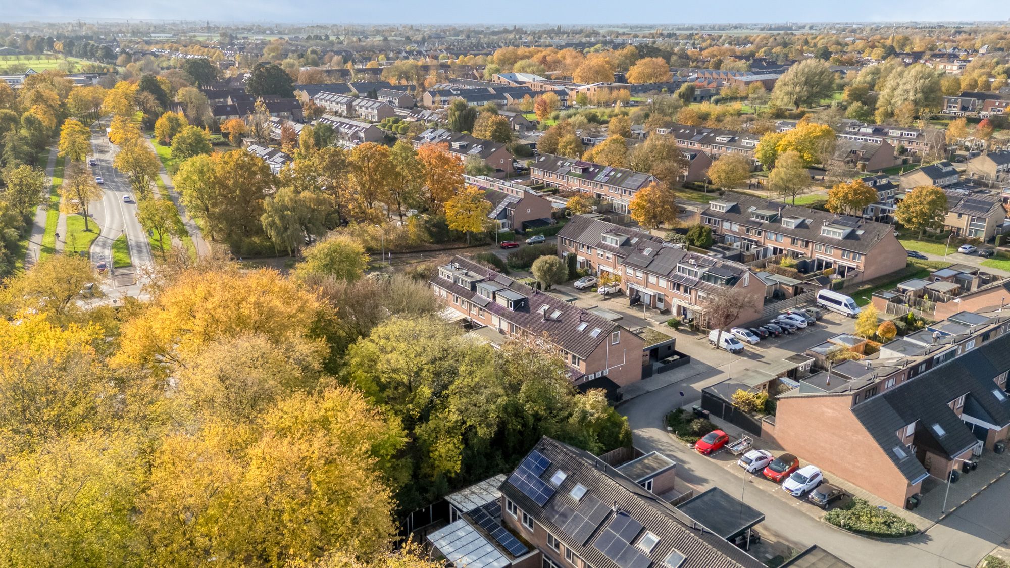 Photo 69 of Prunuslaan 62