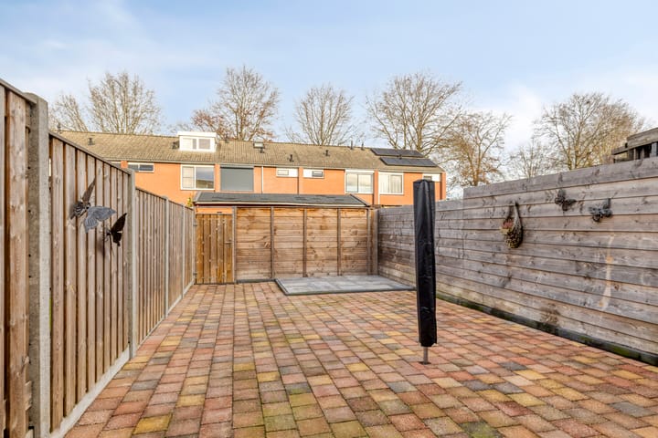 Foto 20 van De Piepe 6