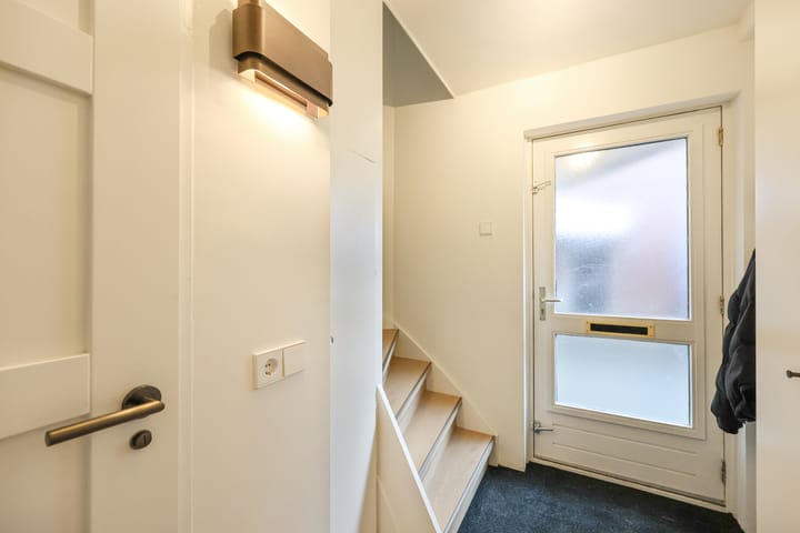 Photo 11 of Nevelpanter 46