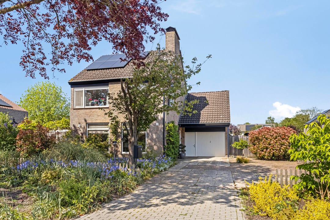 Foto 1 van De Wielewaal 2