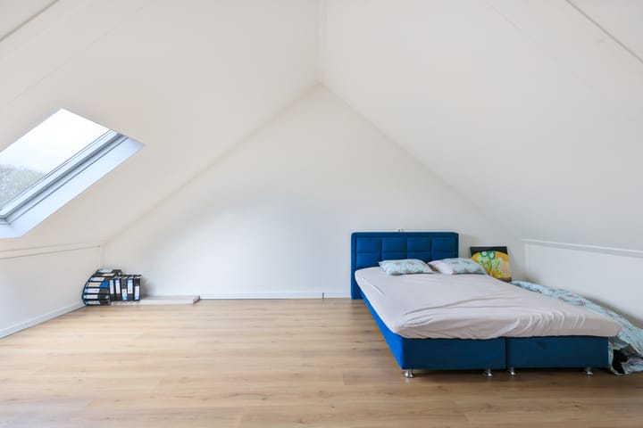 Photo 26 of Nevelpanter 46