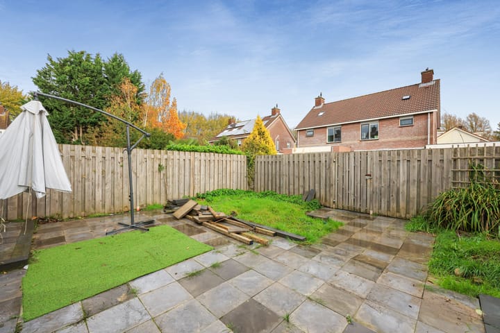 Photo 31 of Nevelpanter 46