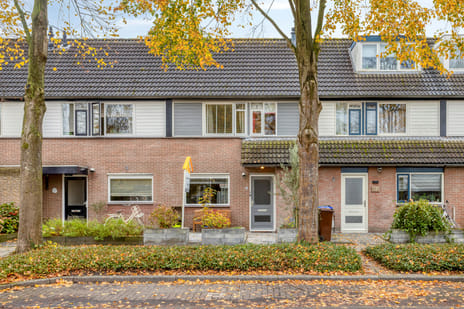 Componistensingel thumbnail