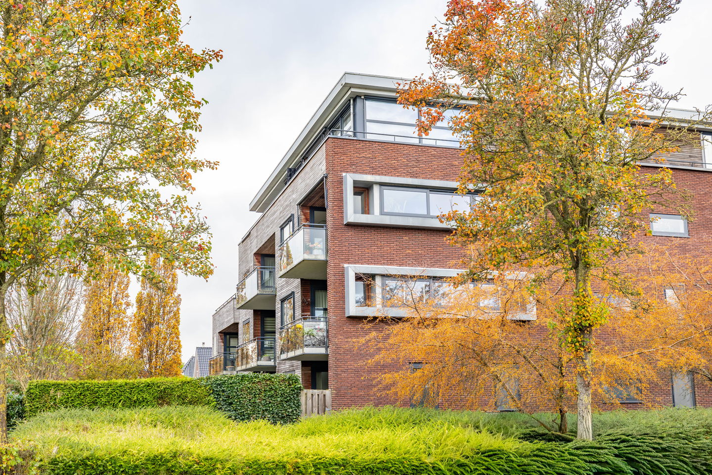 Foto 5 van Granpré Molièreweg 52-5