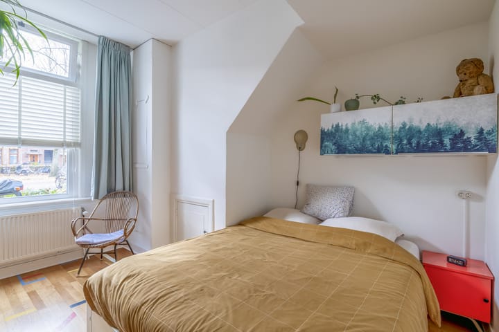 Foto 18 van Caan van Necklaan 197