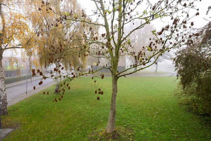 Photo 39 of Brandemeer 23