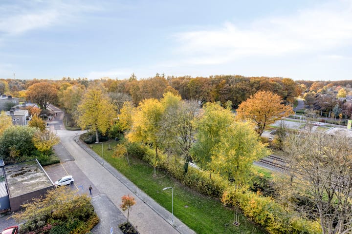 Foto 17 van Anemoonstraat 189