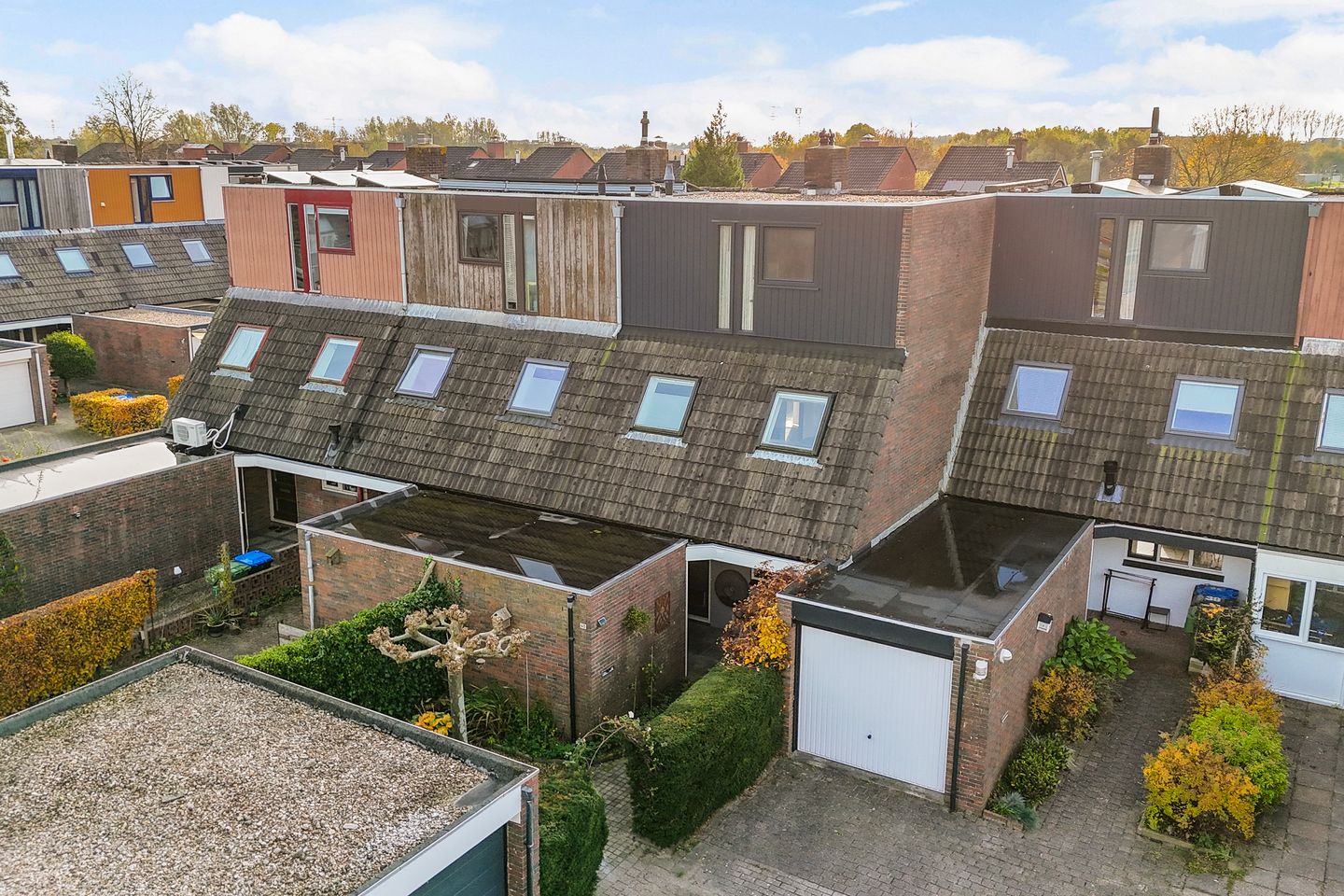 Foto 5 van Mannagras 40