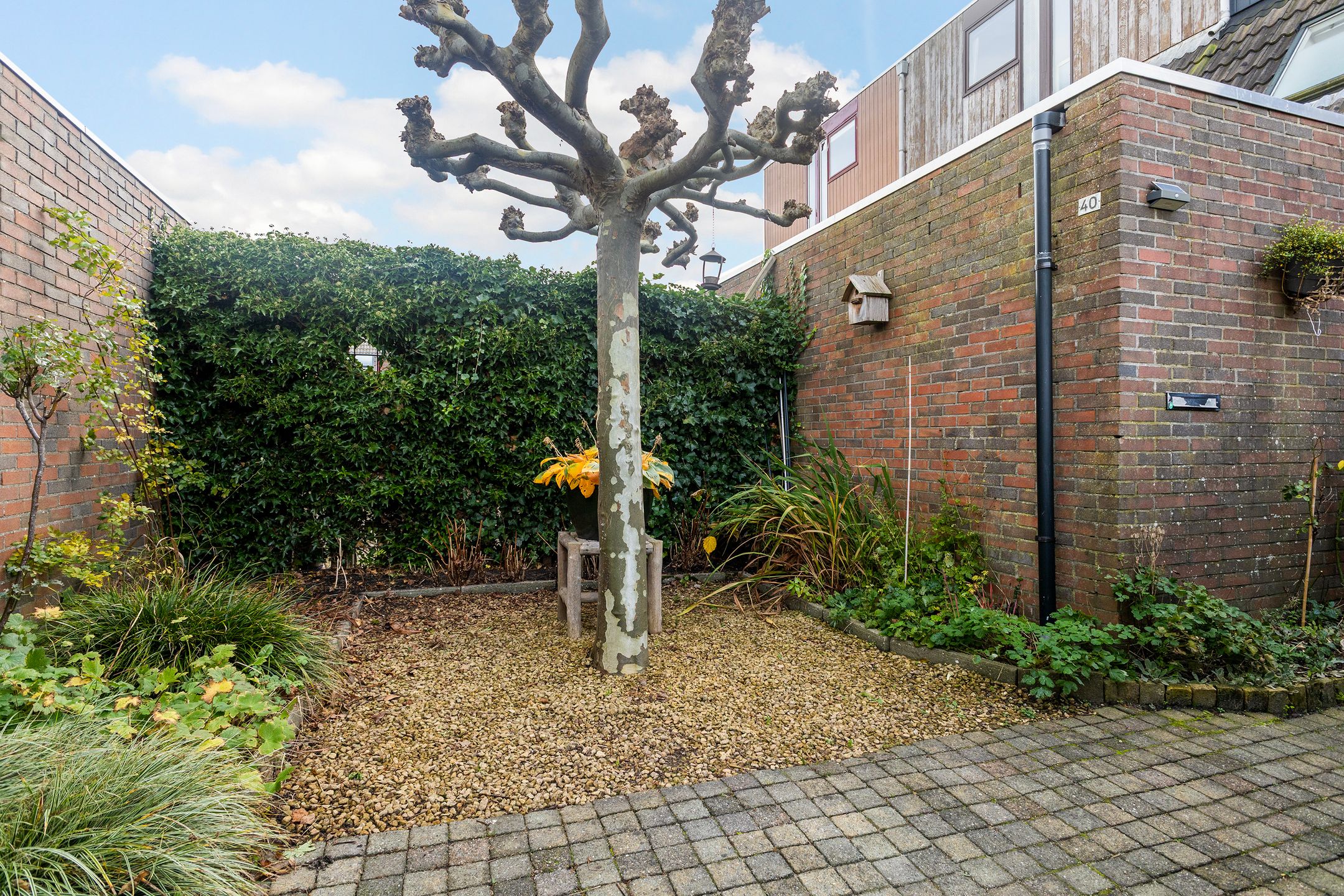 Foto 6 van Mannagras 40