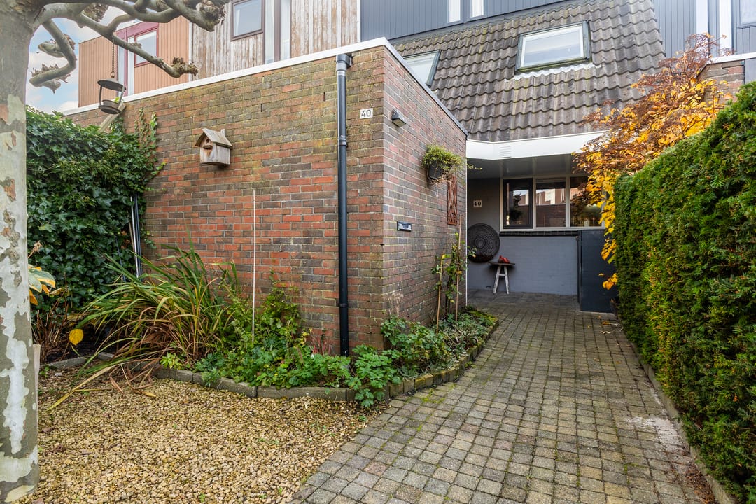 Foto 7 van Mannagras 40