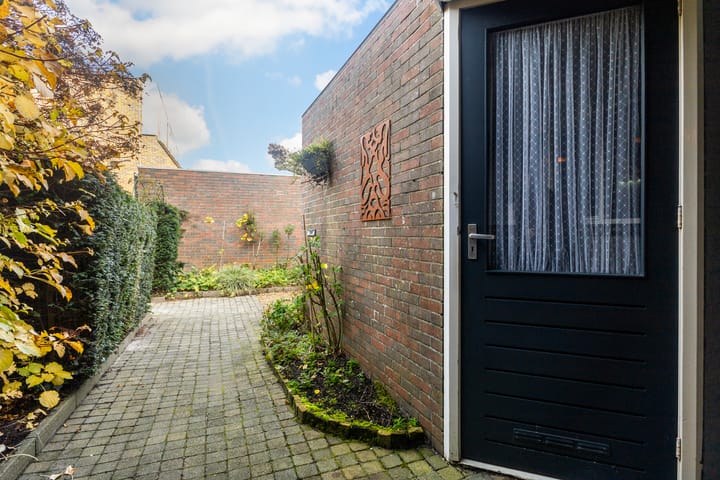 Photo 8 of Mannagras 40