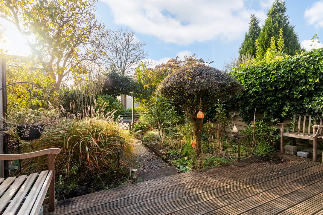 Foto 23 van Mannagras 40