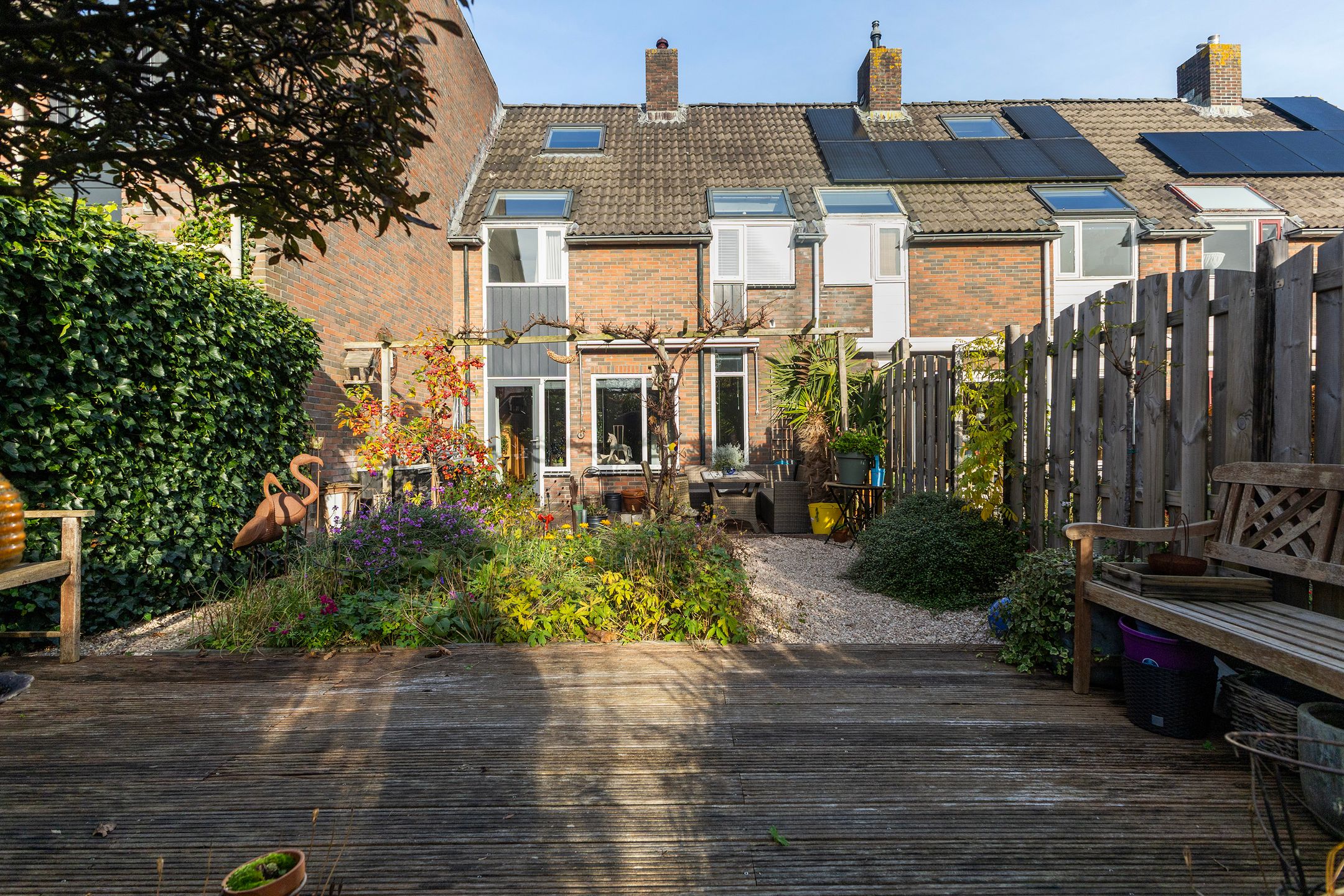 Foto 24 van Mannagras 40