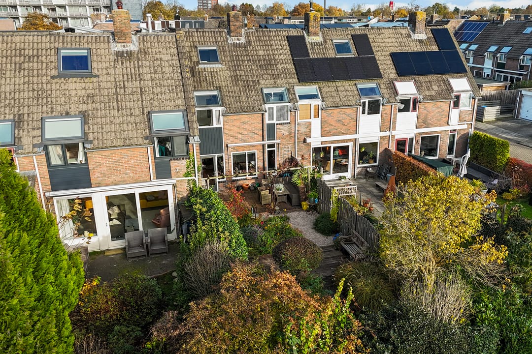 Foto 43 van Mannagras 40