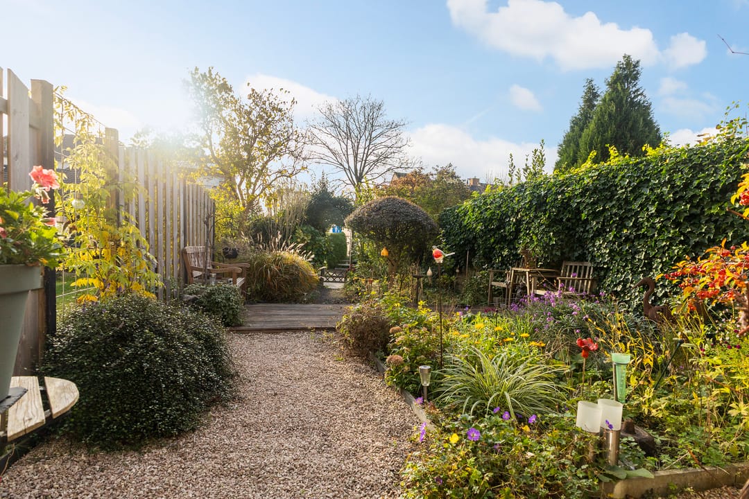 Foto 22 van Mannagras 40