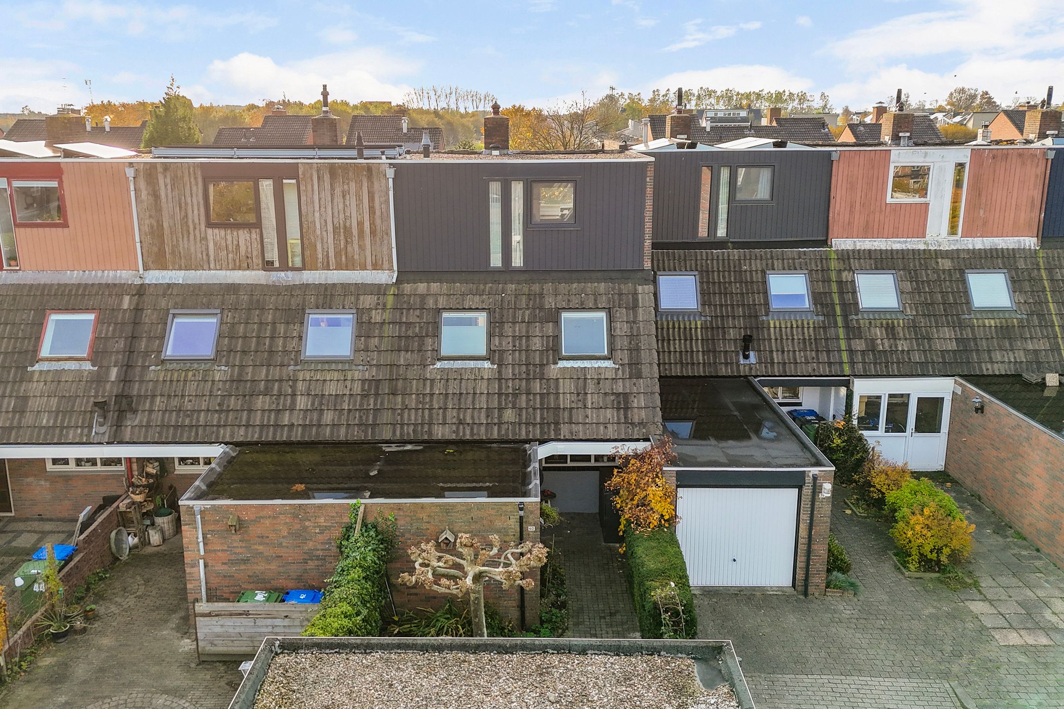 Foto 42 van Mannagras 40