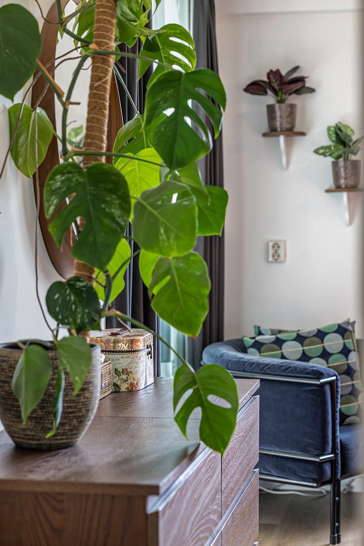 Photo 19 of Van Adrichemweg 199