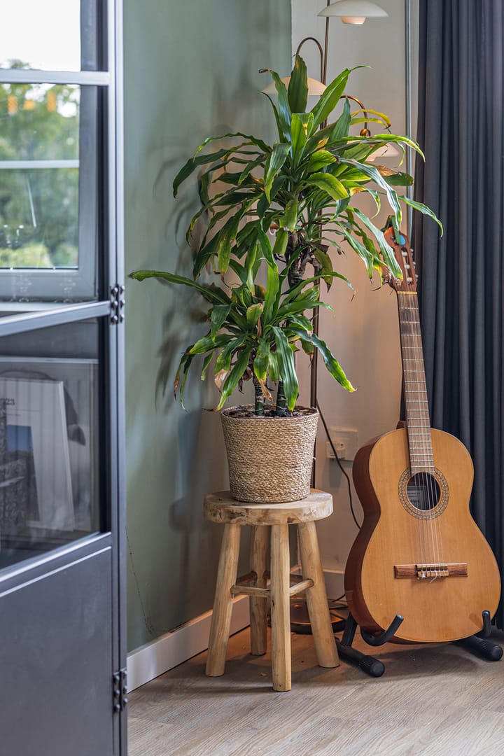 Photo 22 of Van Adrichemweg 199