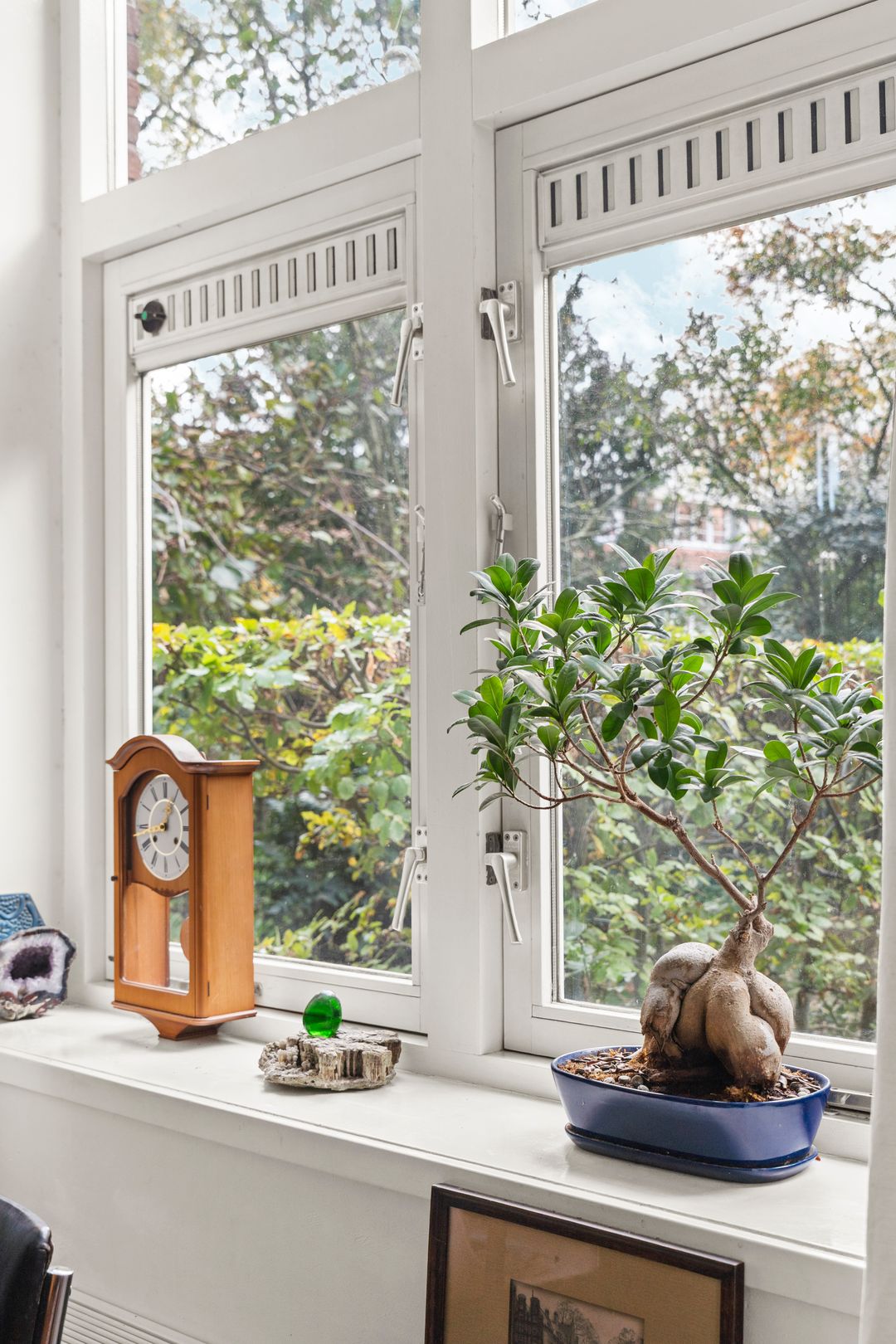 Foto 17 van Dr. C.W.H. van Raaltenpark 20