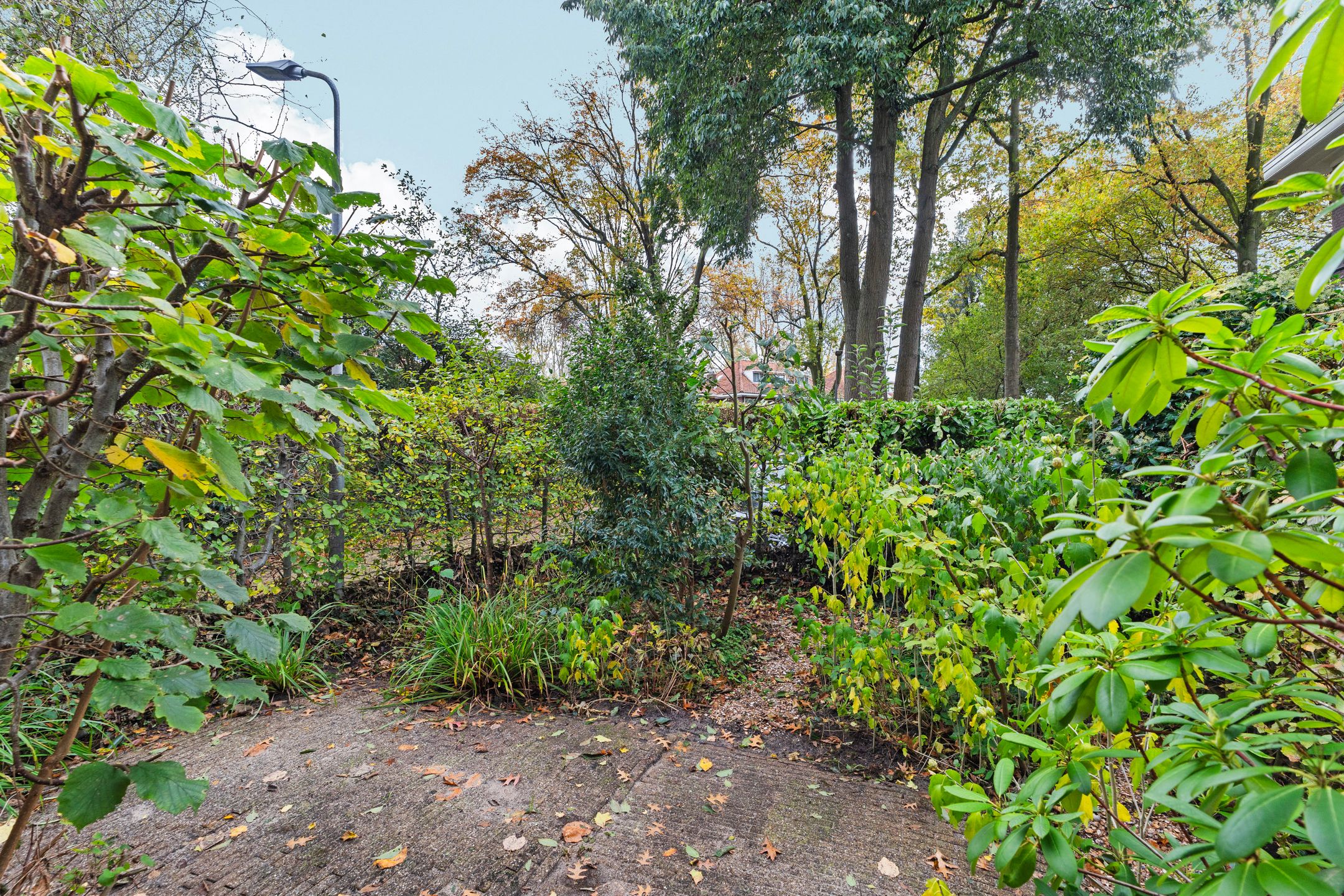 Foto 36 van Dr. C.W.H. van Raaltenpark 20