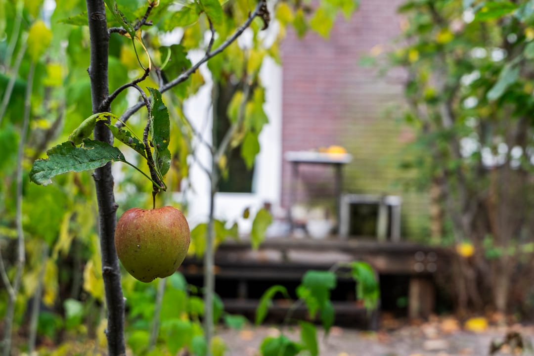 Foto 38 van Dr. C.W.H. van Raaltenpark 20