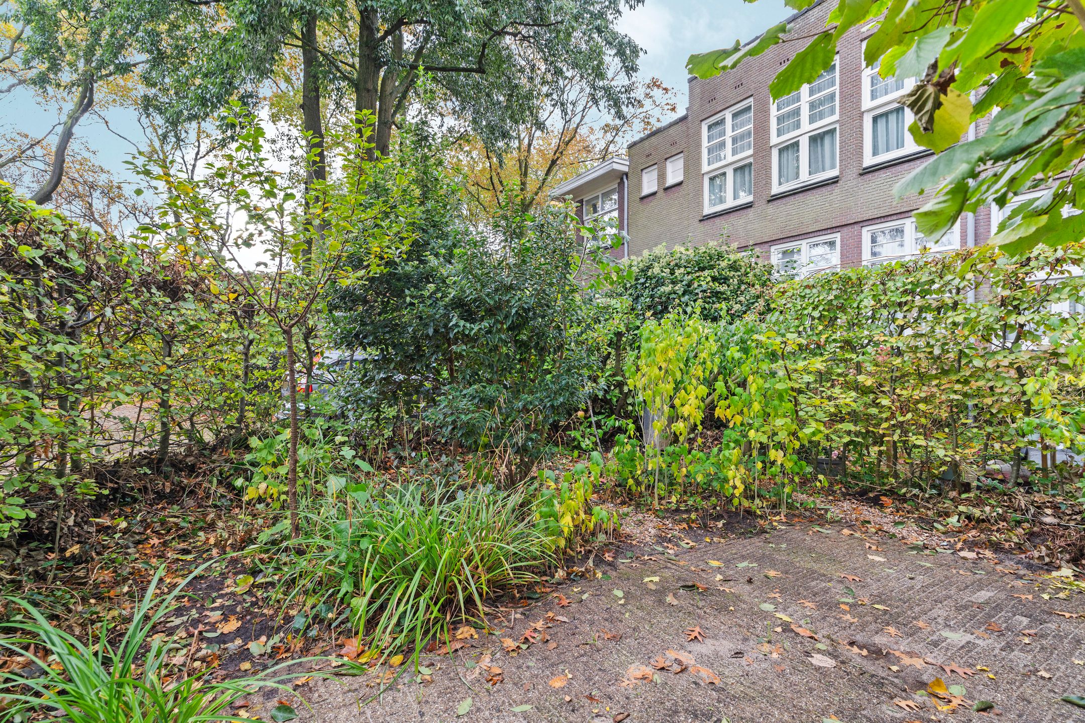 Foto 39 van Dr. C.W.H. van Raaltenpark 20