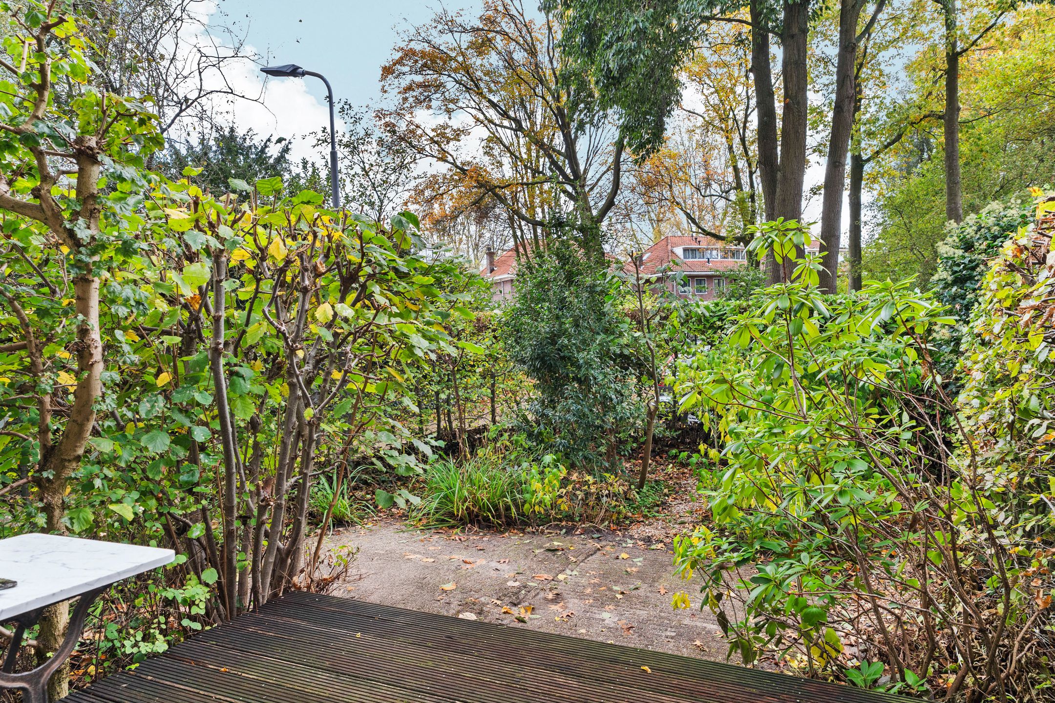 Foto 51 van Dr. C.W.H. van Raaltenpark 20