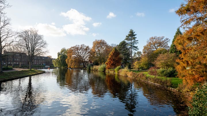 Foto 42 van Levendaal 144-E