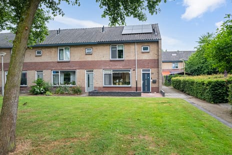 undefined main image