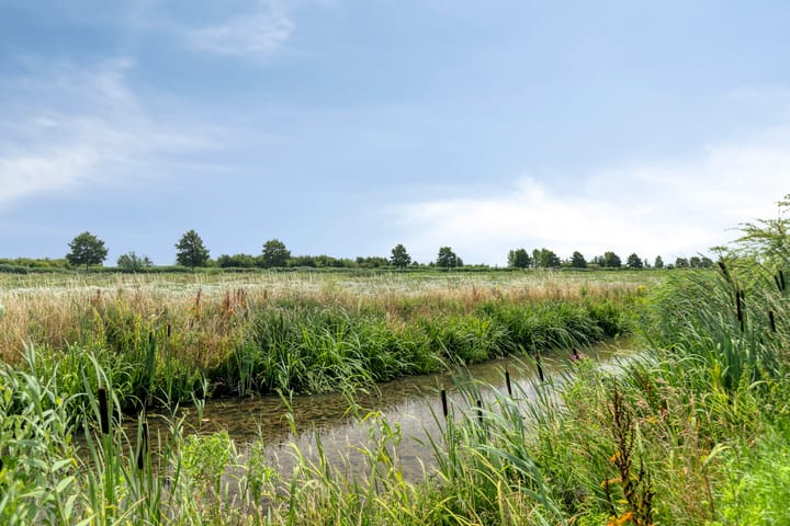 Photo 43 of Sleutelbloem 25