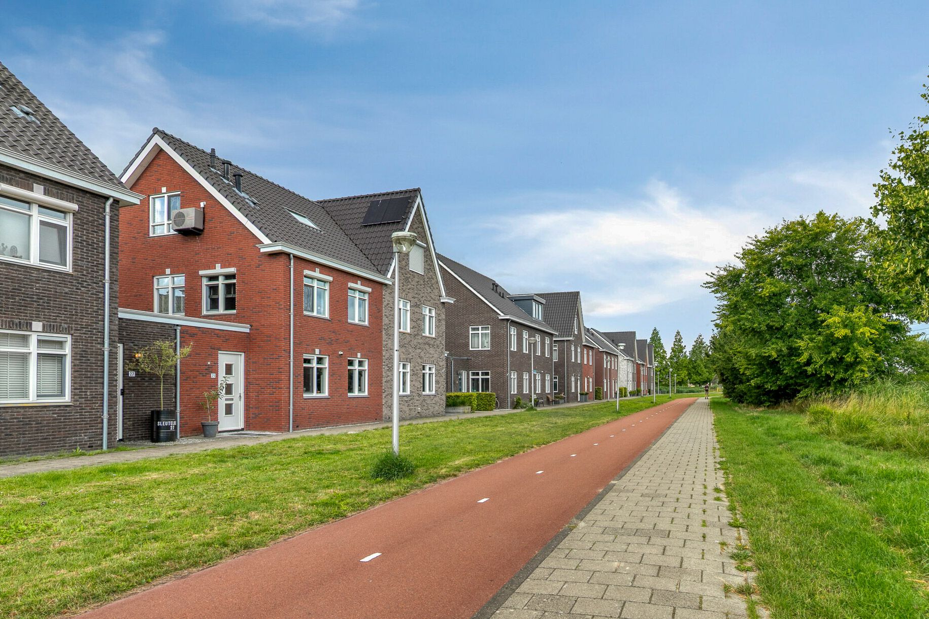 Foto 45 van Sleutelbloem 25