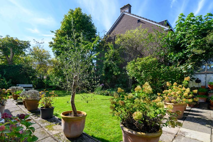 Photo 40 of Leeuwerik 6