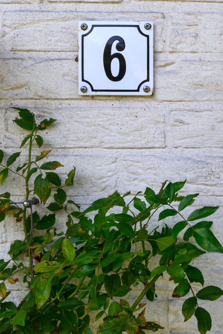 Photo 53 of Leeuwerik 6