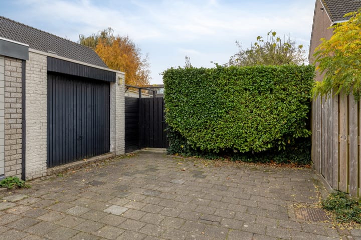 Photo 54 of Leeuwerik 6