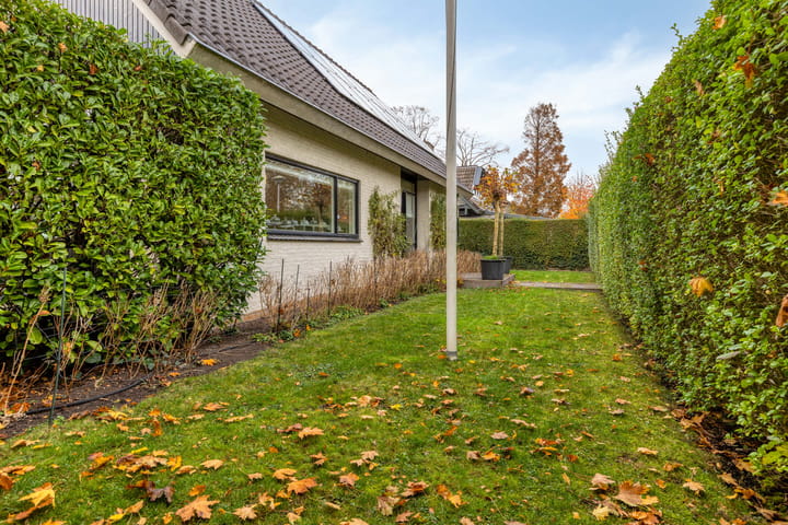 Photo 60 of Leeuwerik 6