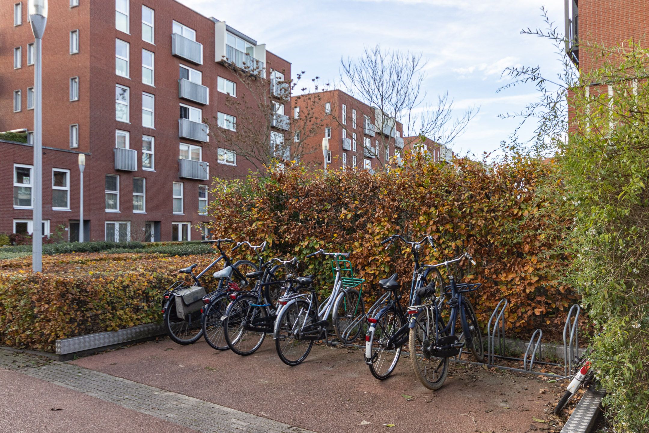 Foto 36 van Voorsterbeeklaan 132