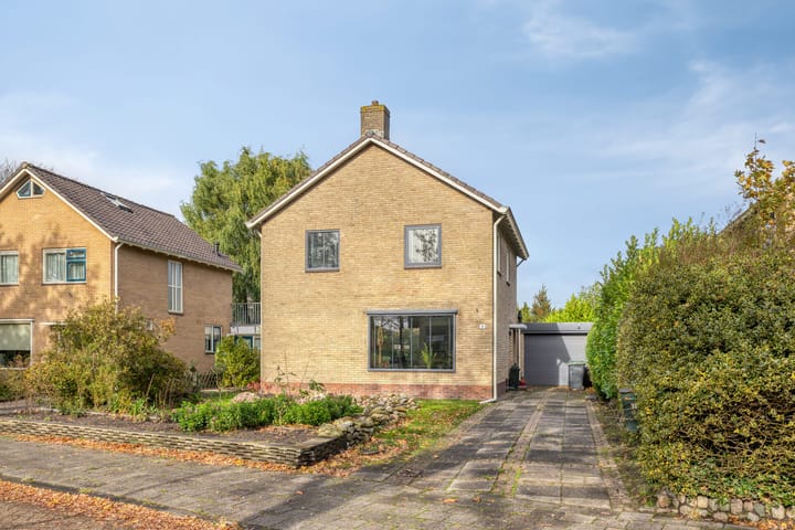 Foto 28 van Bouriciuslaan 38