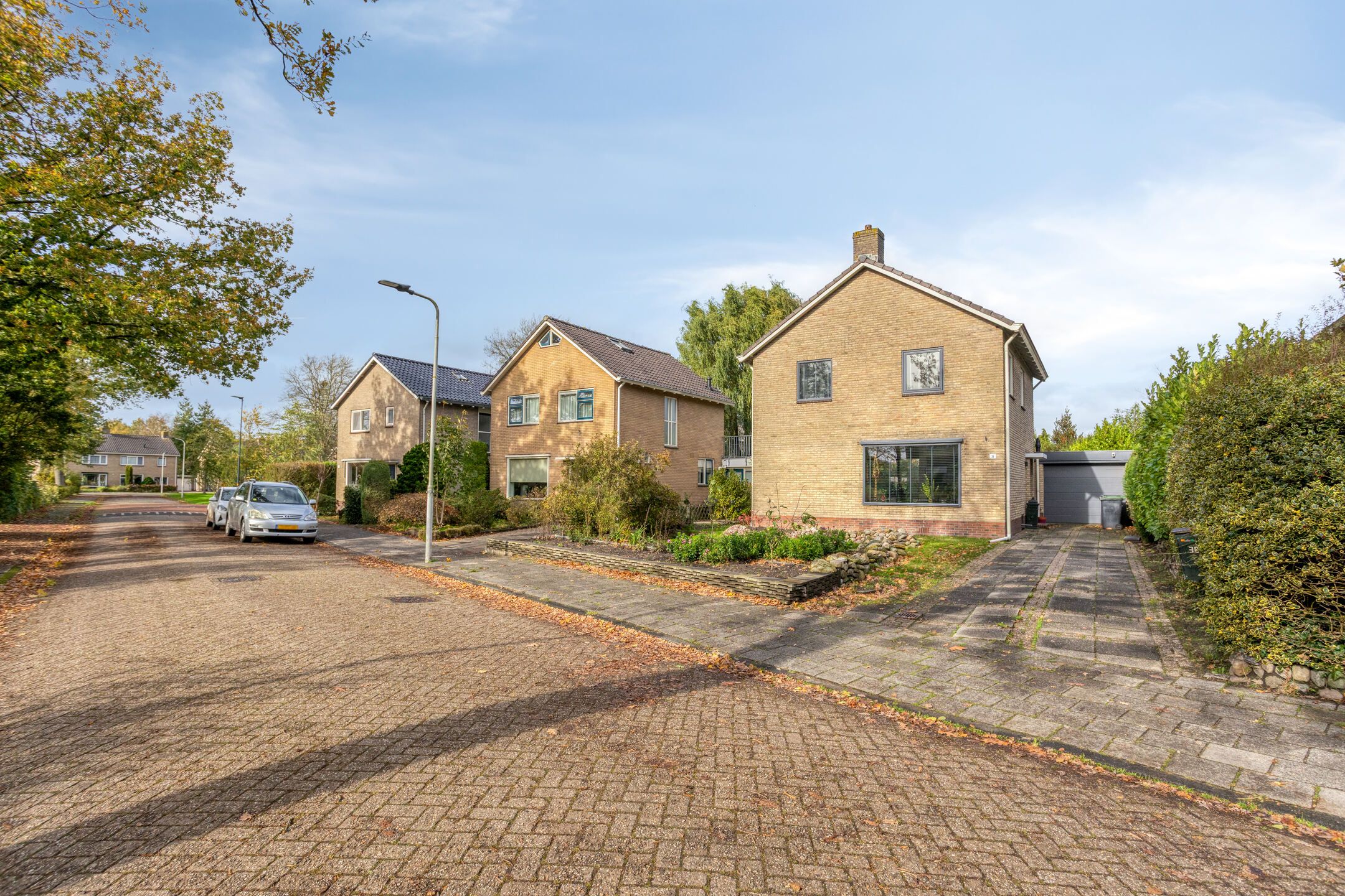 Foto 30 van Bouriciuslaan 38