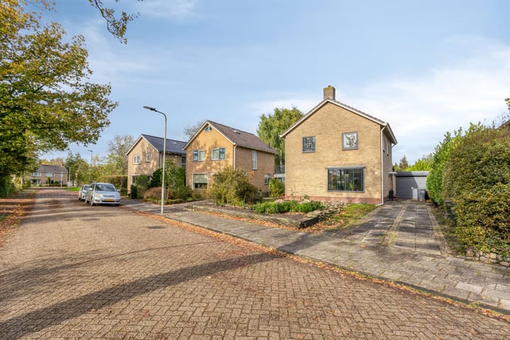 Foto 30 van Bouriciuslaan 38