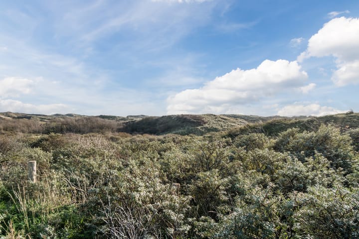 Photo 66 of Marshallstraat 50