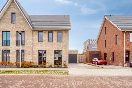 Dotterbloem thumbnail