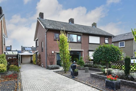 undefined main image