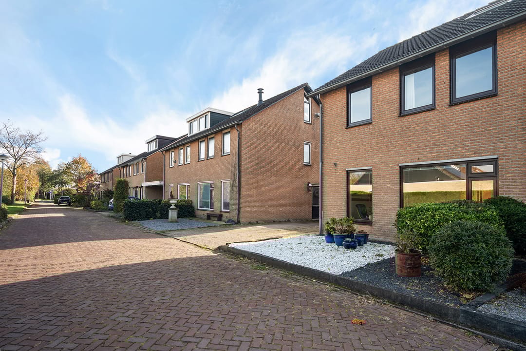 Foto 31 van Botter 38 62