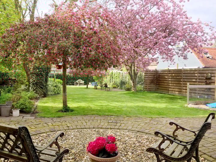 Photo 2 of Oosterblokker 100